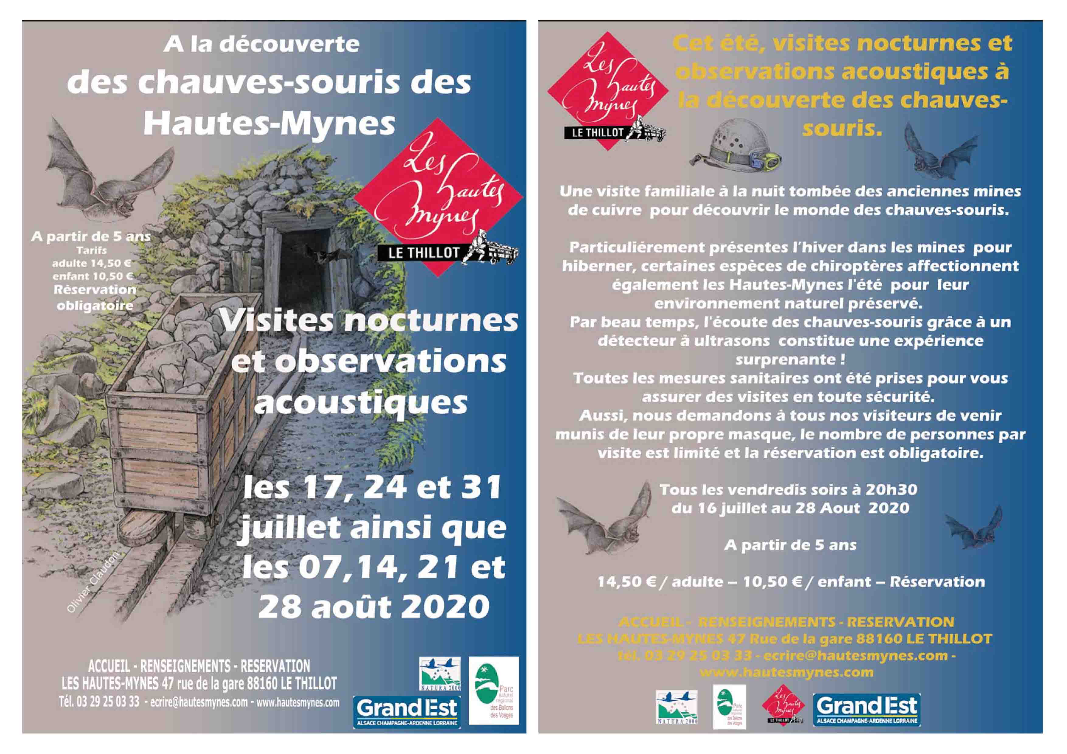 Visite Nocturne La D Couverte Des Chauves Souris Aux Hautes Mynes Du