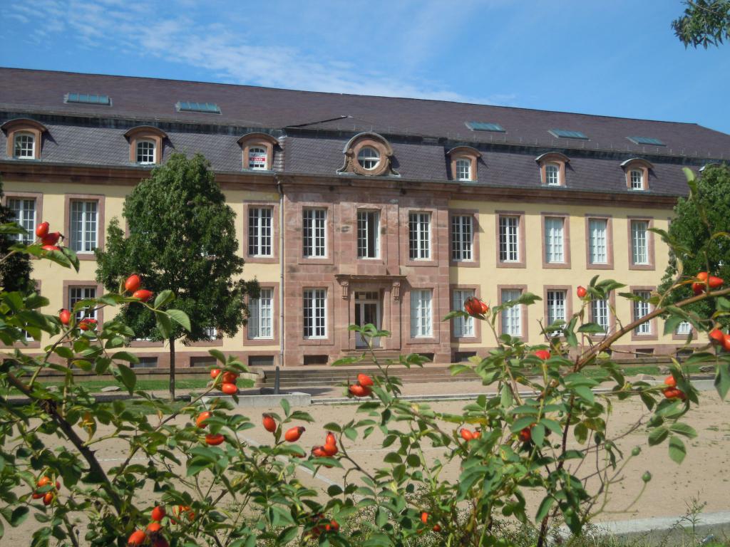 Château de SENONES