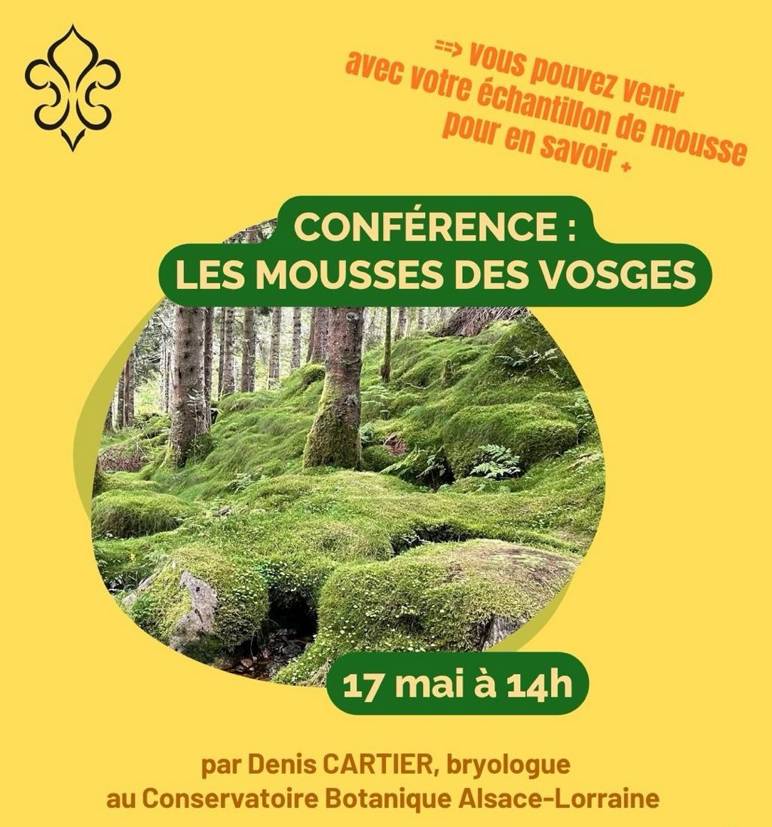 Conf Mousses