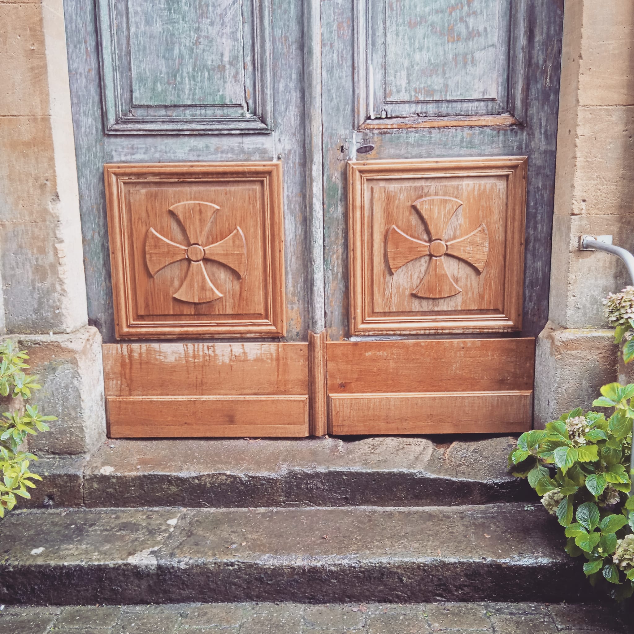 Esprit bois - bas-relief