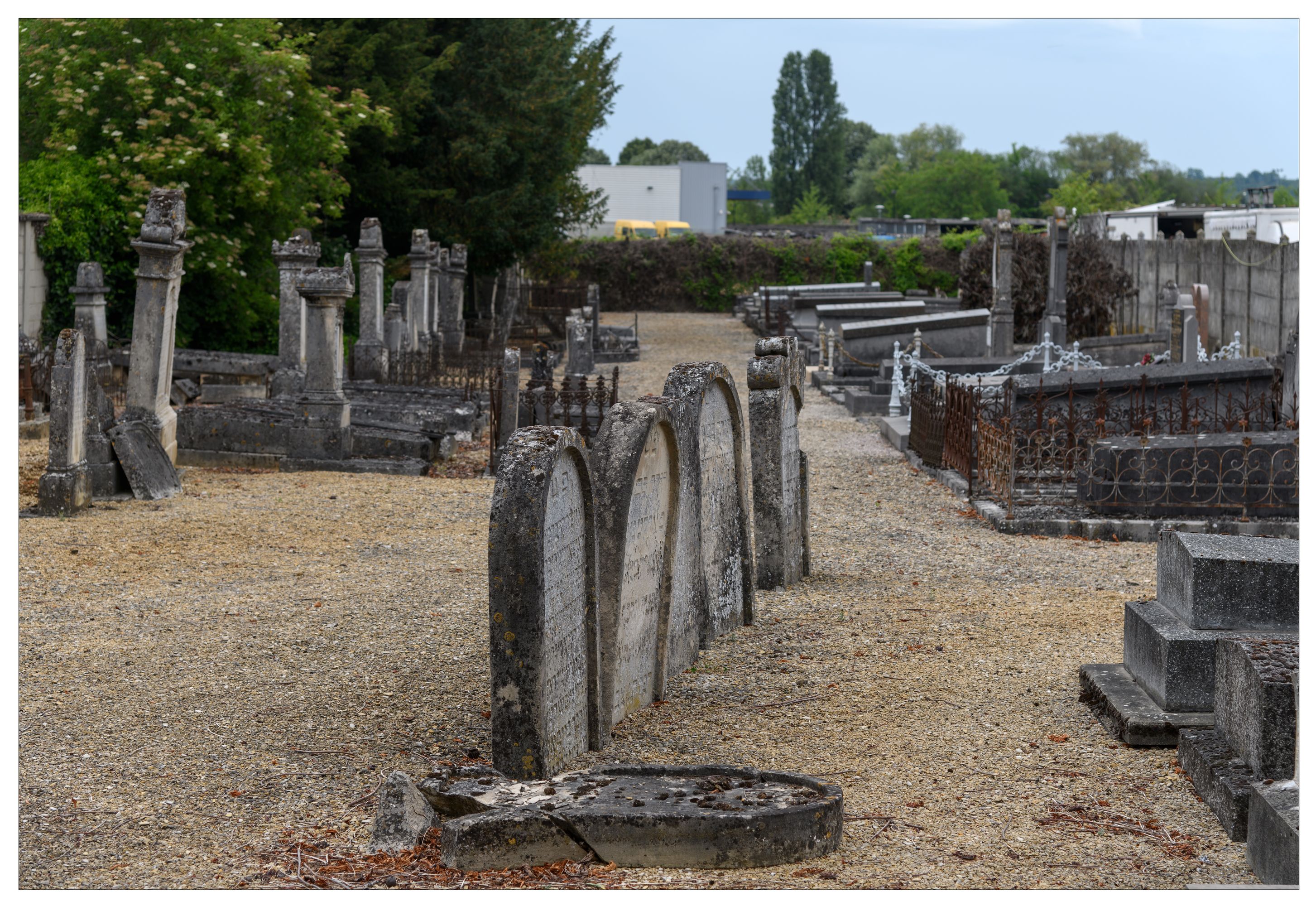 IVR21_20225101493NUCA