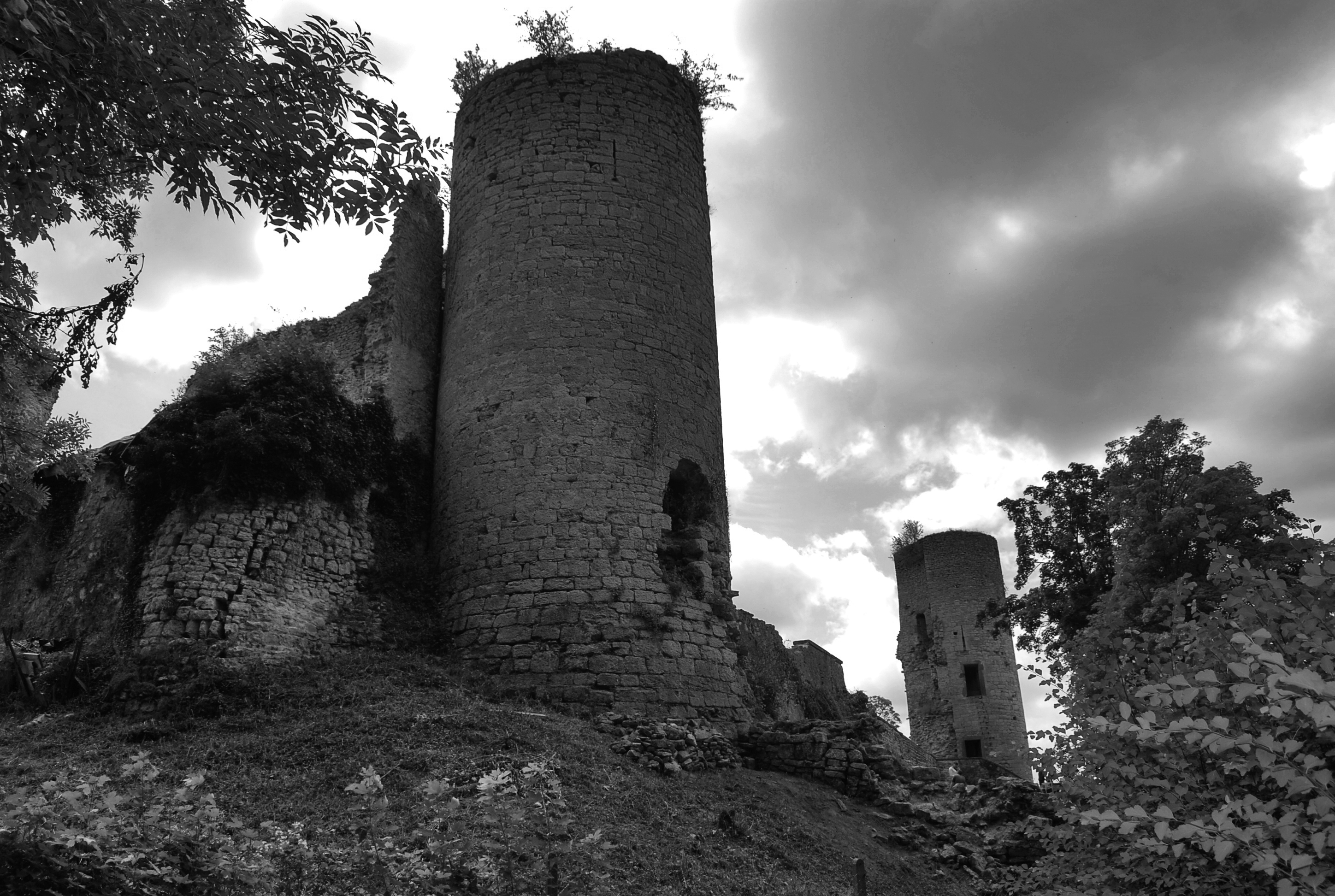 Tour nord et courtine ouest