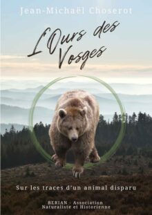 L'Ours des Vosges, sur les traces d'un animal disparu
