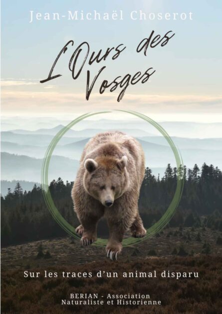 L'Ours des Vosges, sur les traces d'un animal disparu