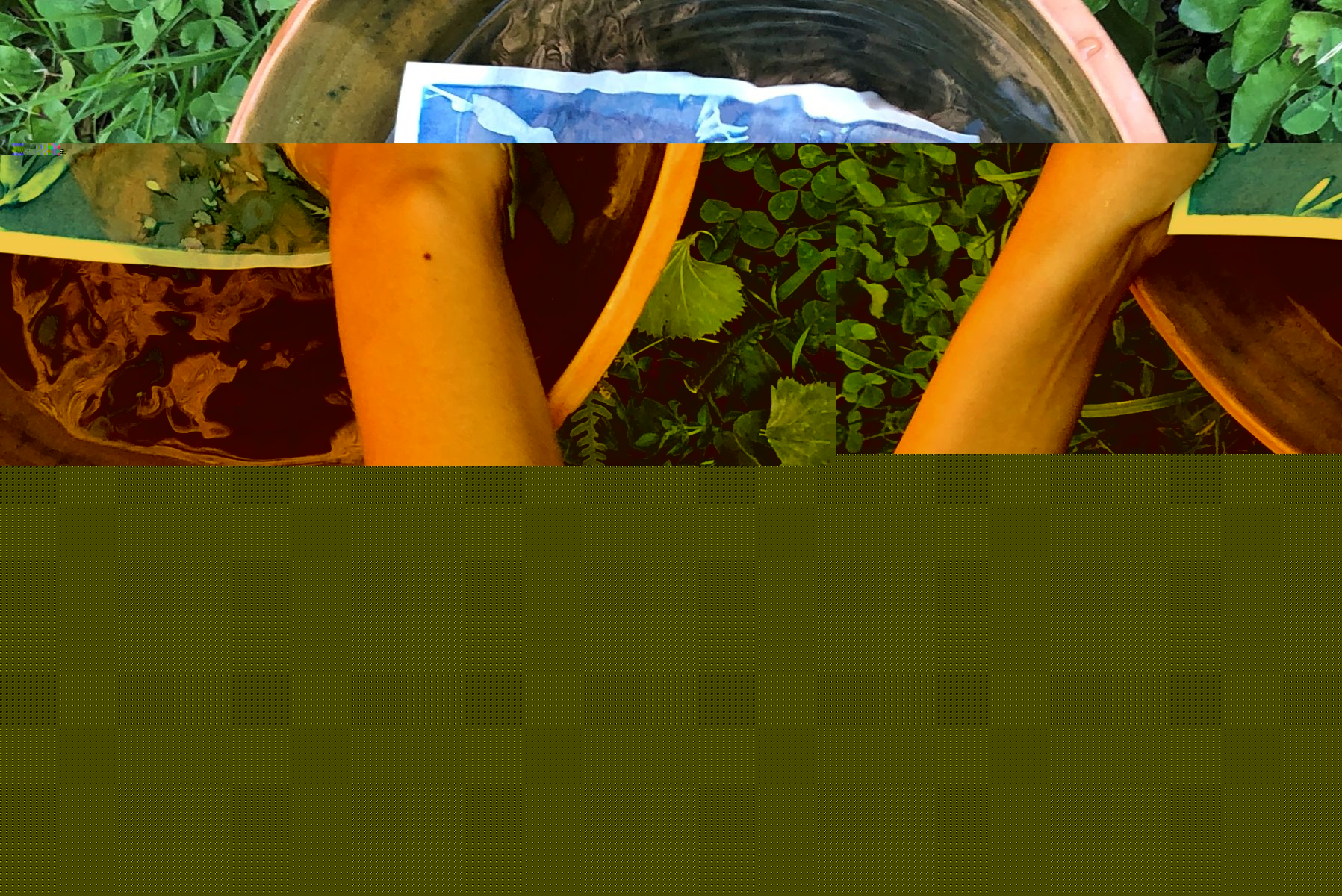 Atelier-famille-cyanotype-2-Château-du-Haut-Koenigsbourg