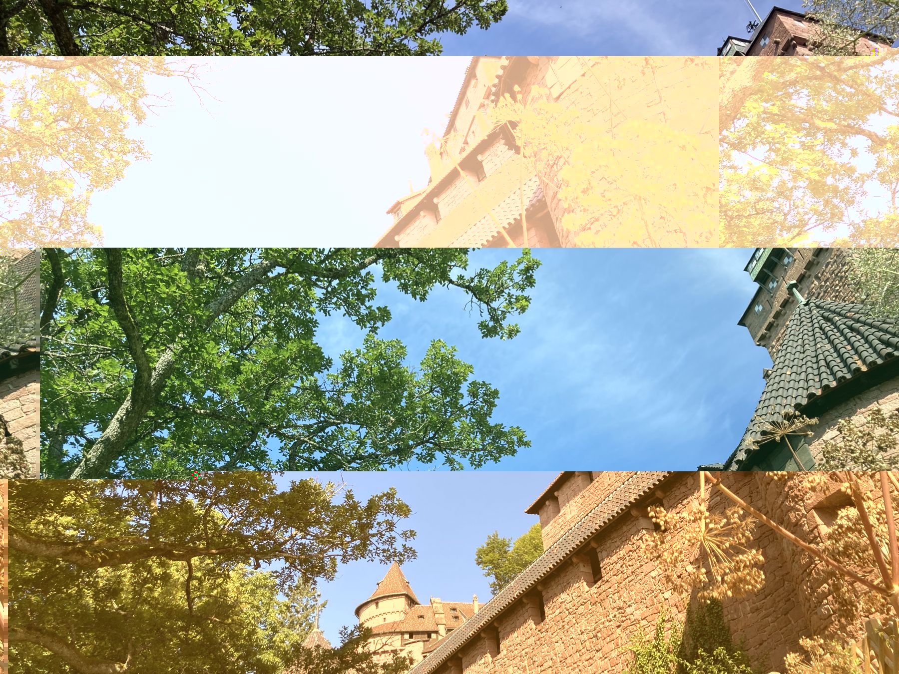 Rendez-vous-jardin-19-Château-du-Haut-Koenigsbourg