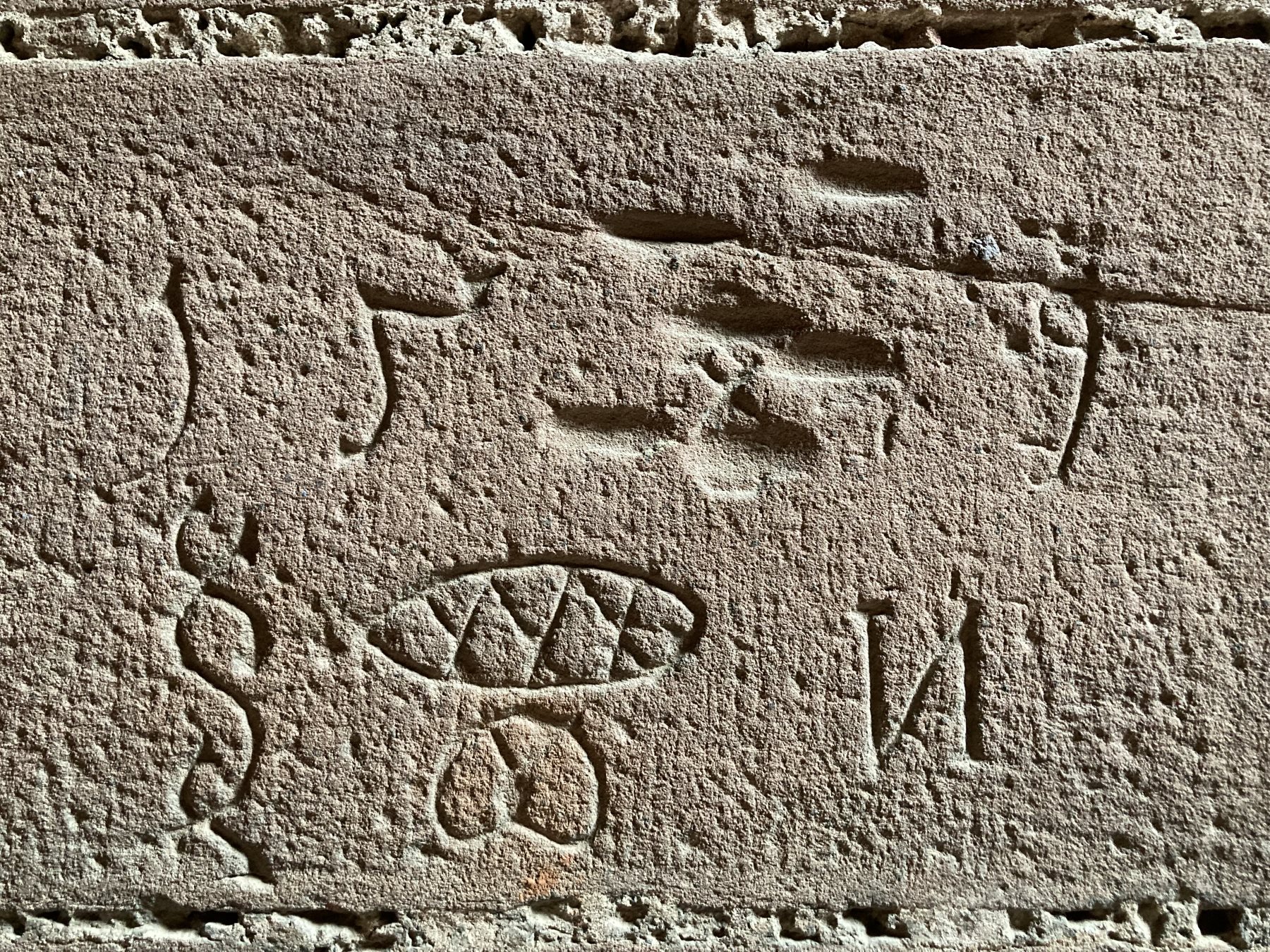 Visite-thématique-détails-cachés-IMG_8942-Chateau-Haut-Koenigsbourg