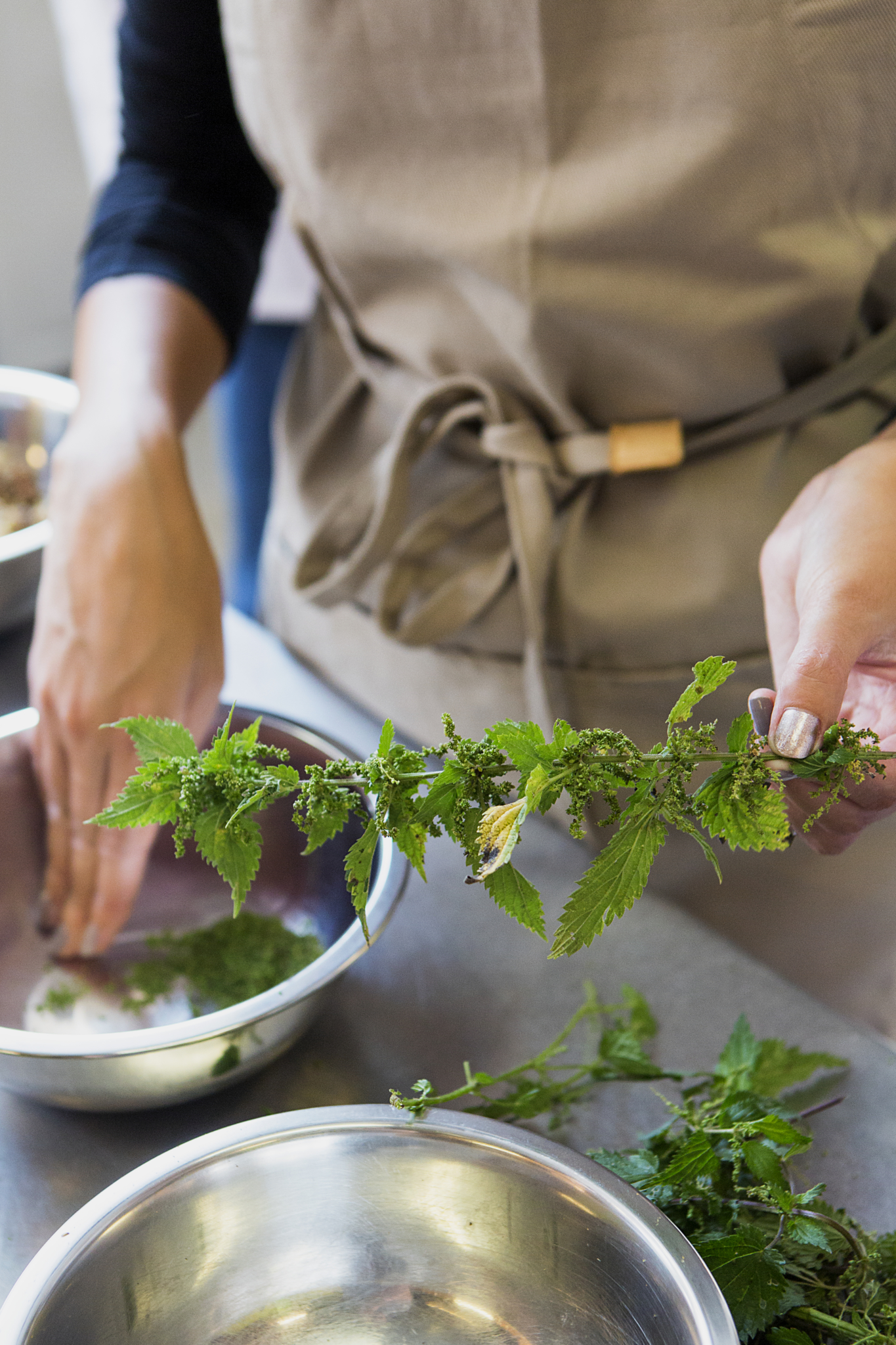 20150909-CuisineSauvage-32