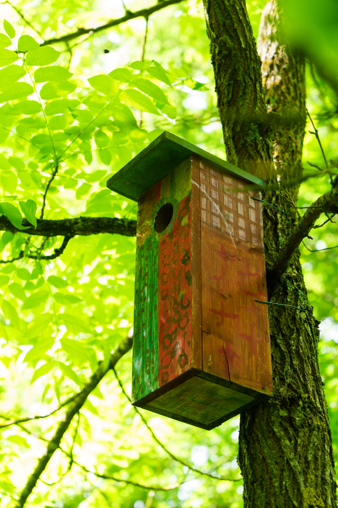 24-06-11 CG Meuse - Musées © Bartosch Salmanski 0928