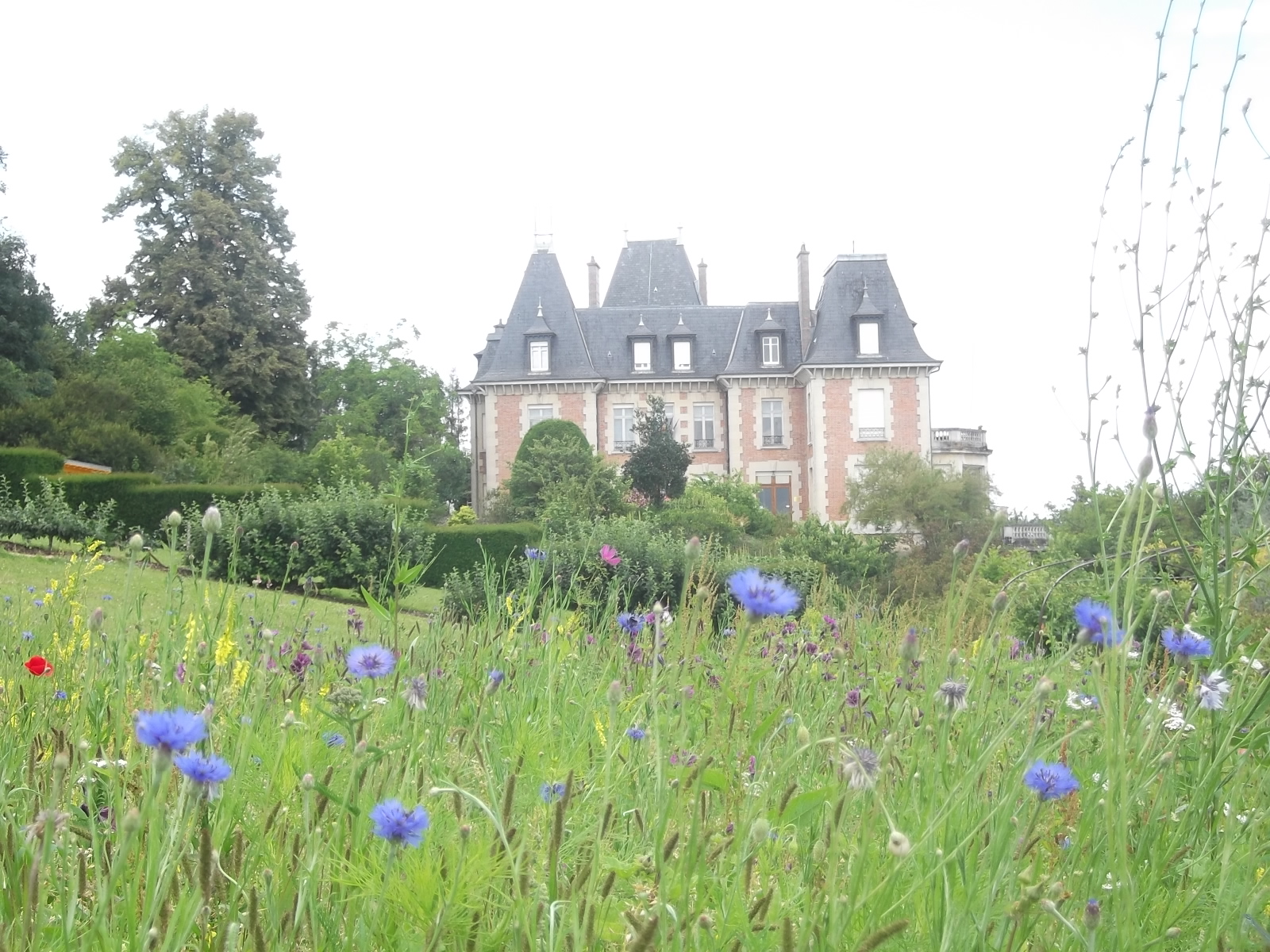 crédit Eloïse CHAMPLON (9)