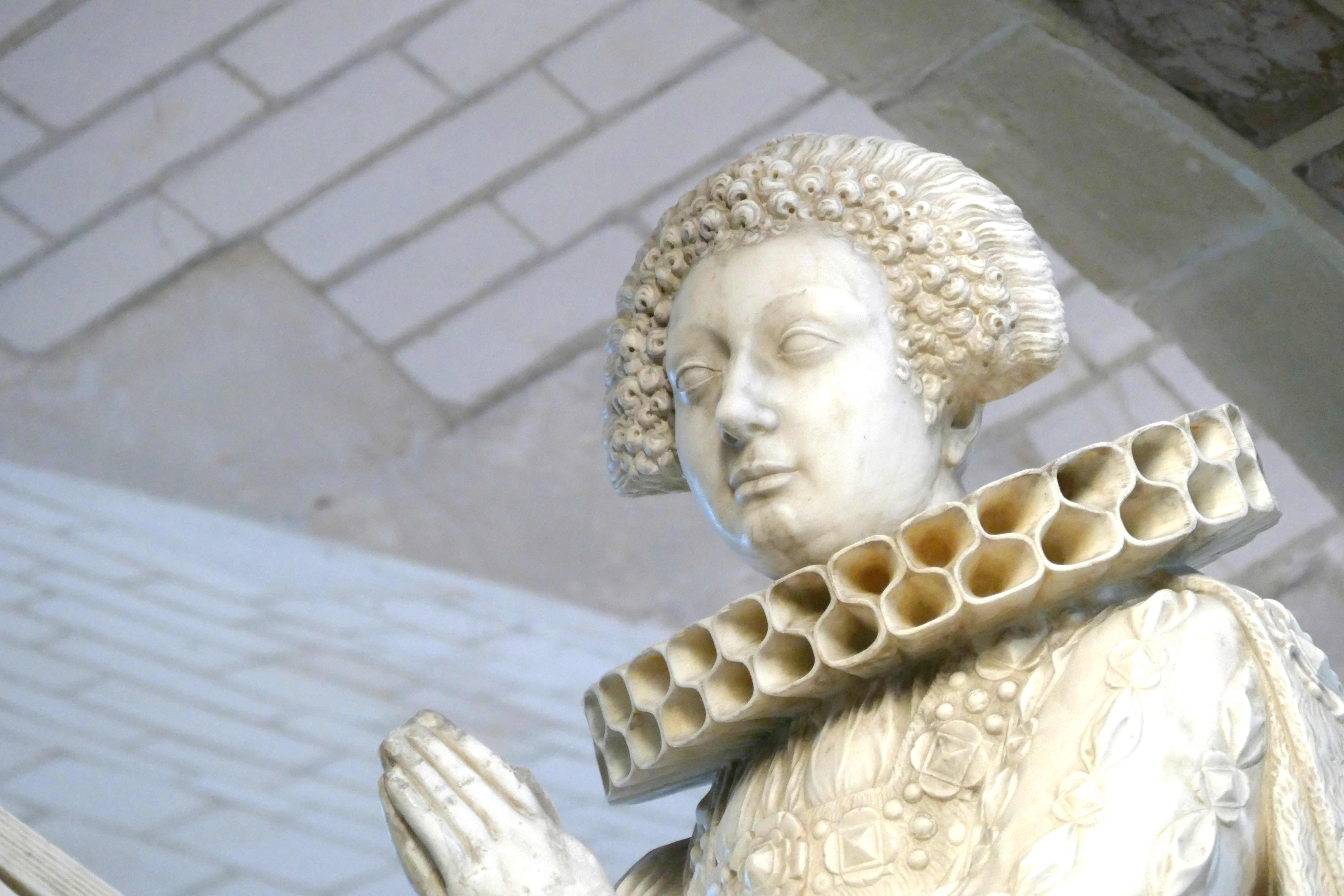 Joinville - conférence Catherine de Clèves (crédits Claude Grimmer)