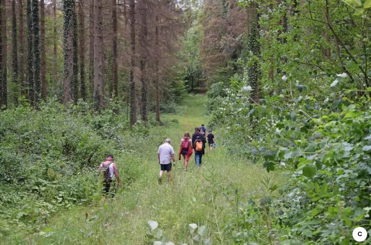 Annotation 2025-07-23 10