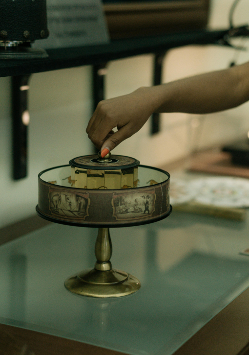 zootrope-pexel-510x725