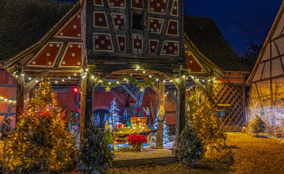 anthony-miglierina-1-980x600