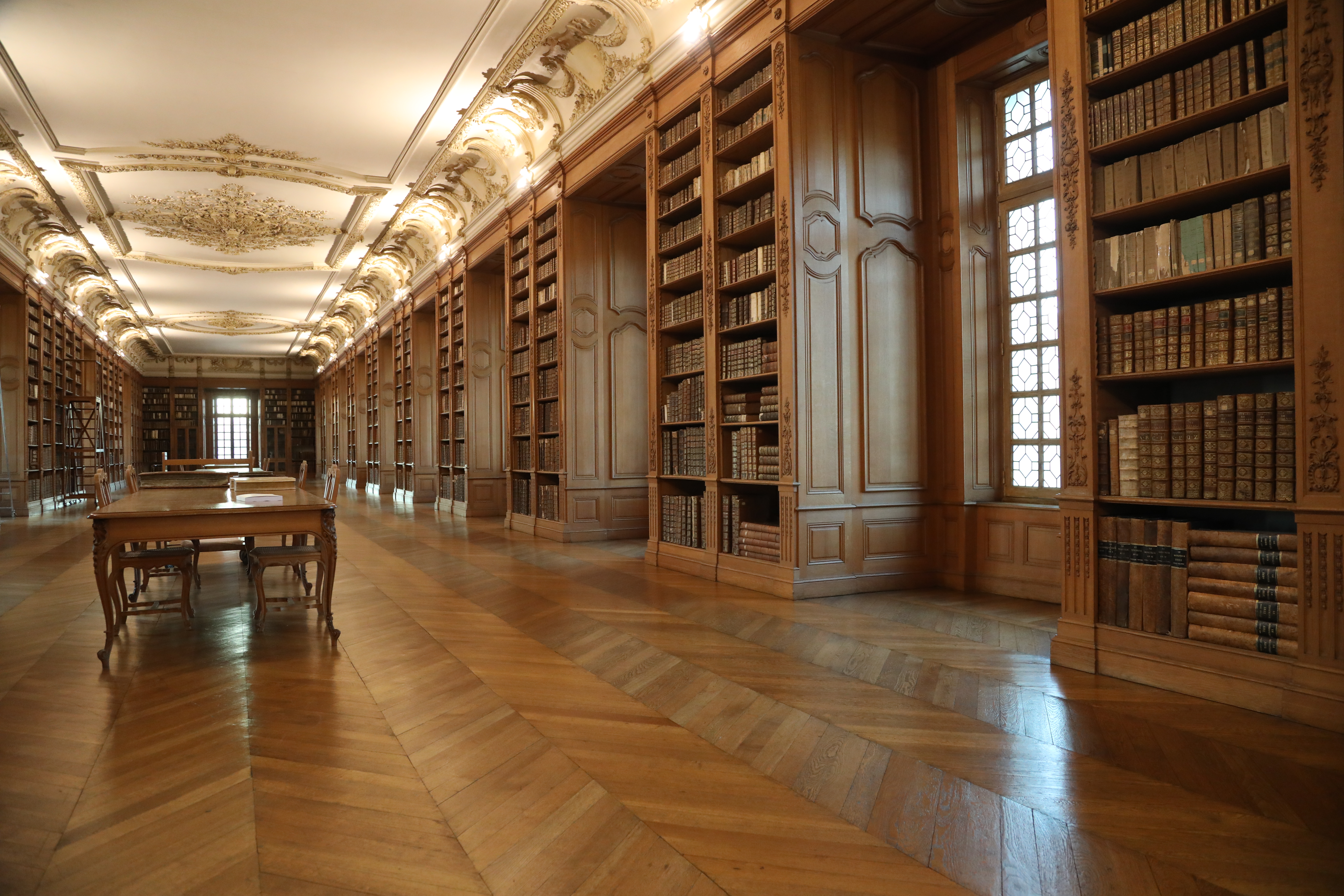 Bibliotheque de Saint-Mihiel (55)