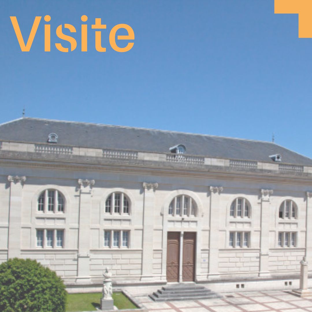 Animations_site_internet (10)