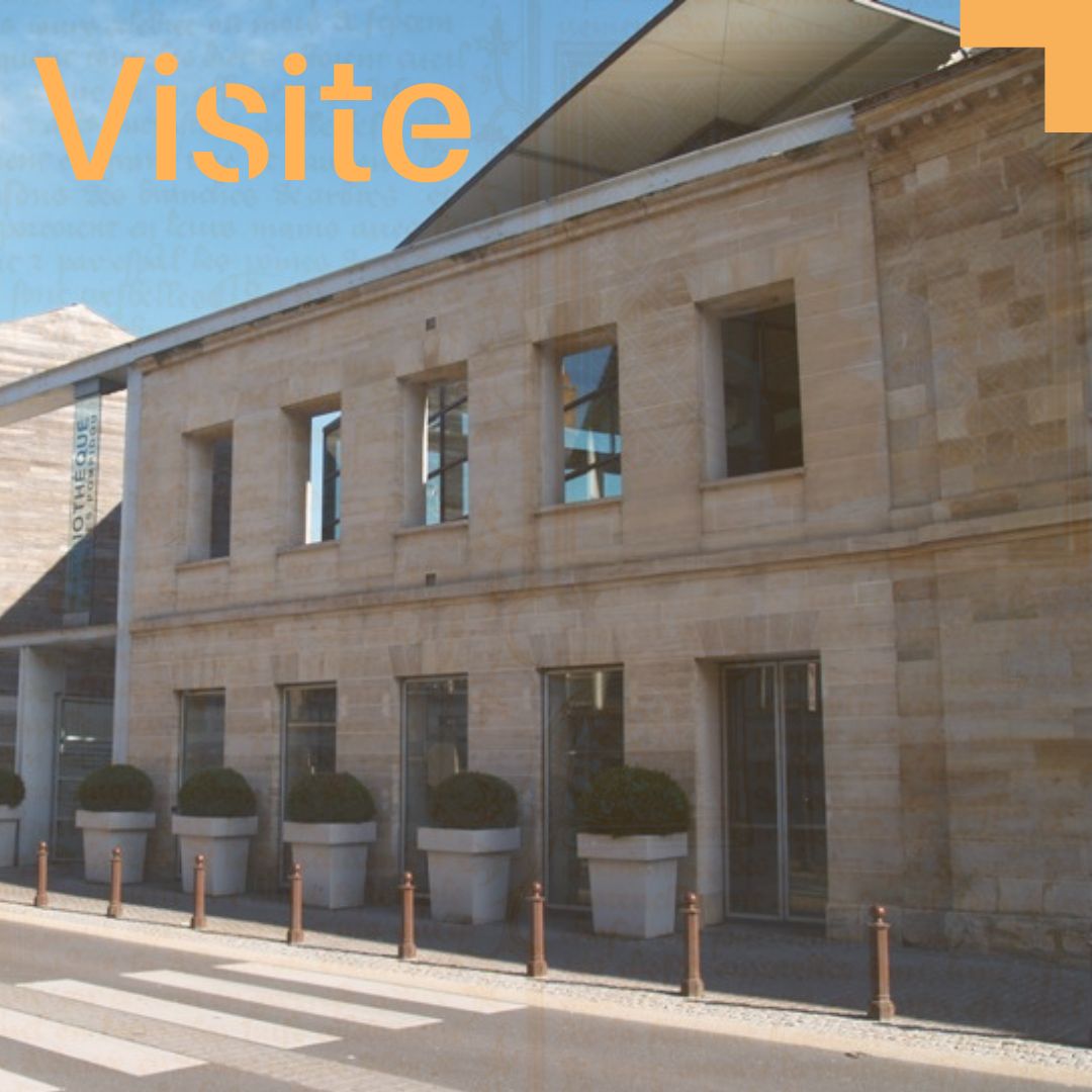 Animations_site_internet (7)