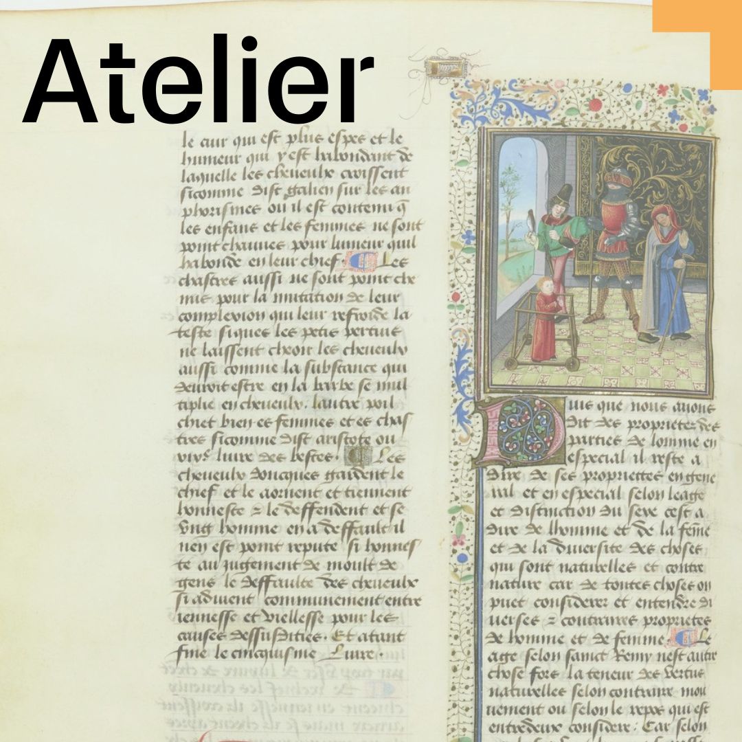 Animations_site_internet (8)