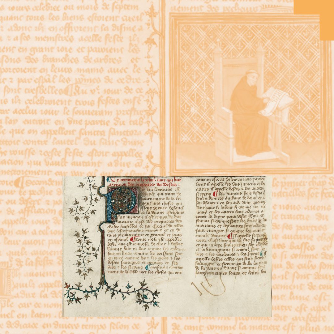 Animations_site_internet(6)