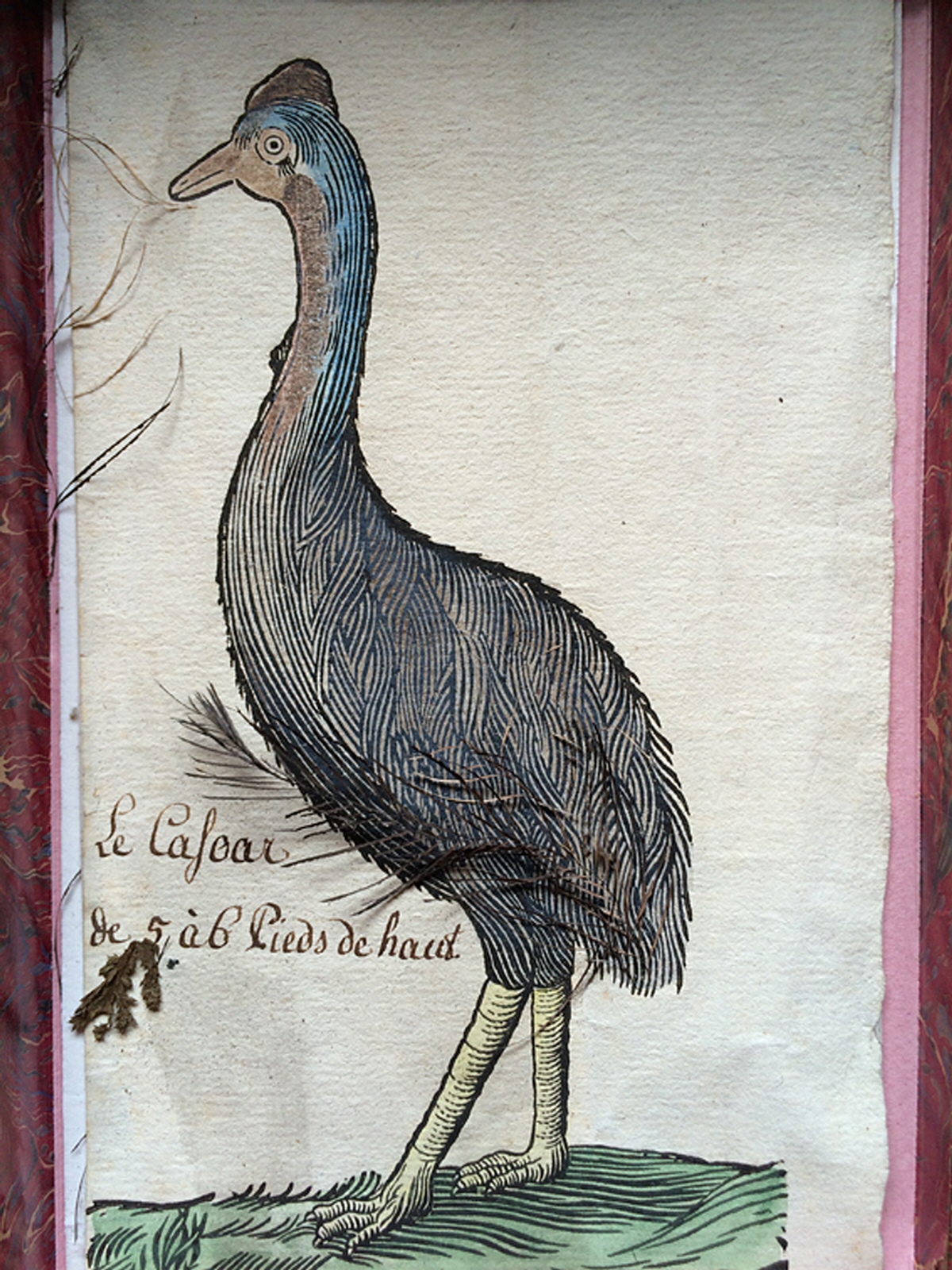 illustration-a-plumes-et-a-paillettes_1-1774610018