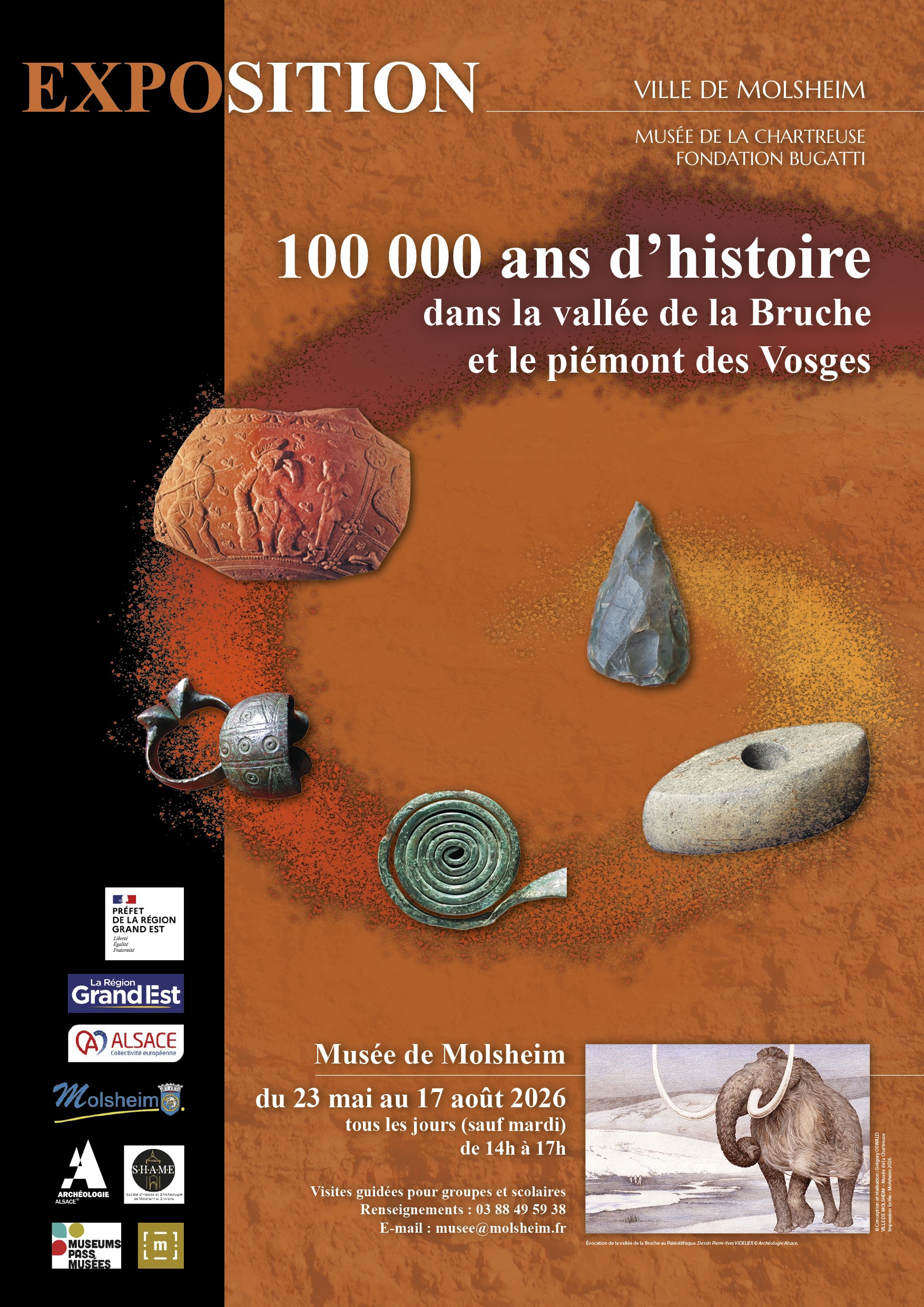 100 000 ANS D'HISTOIRE - Affiche
