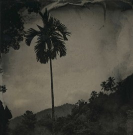 collodion